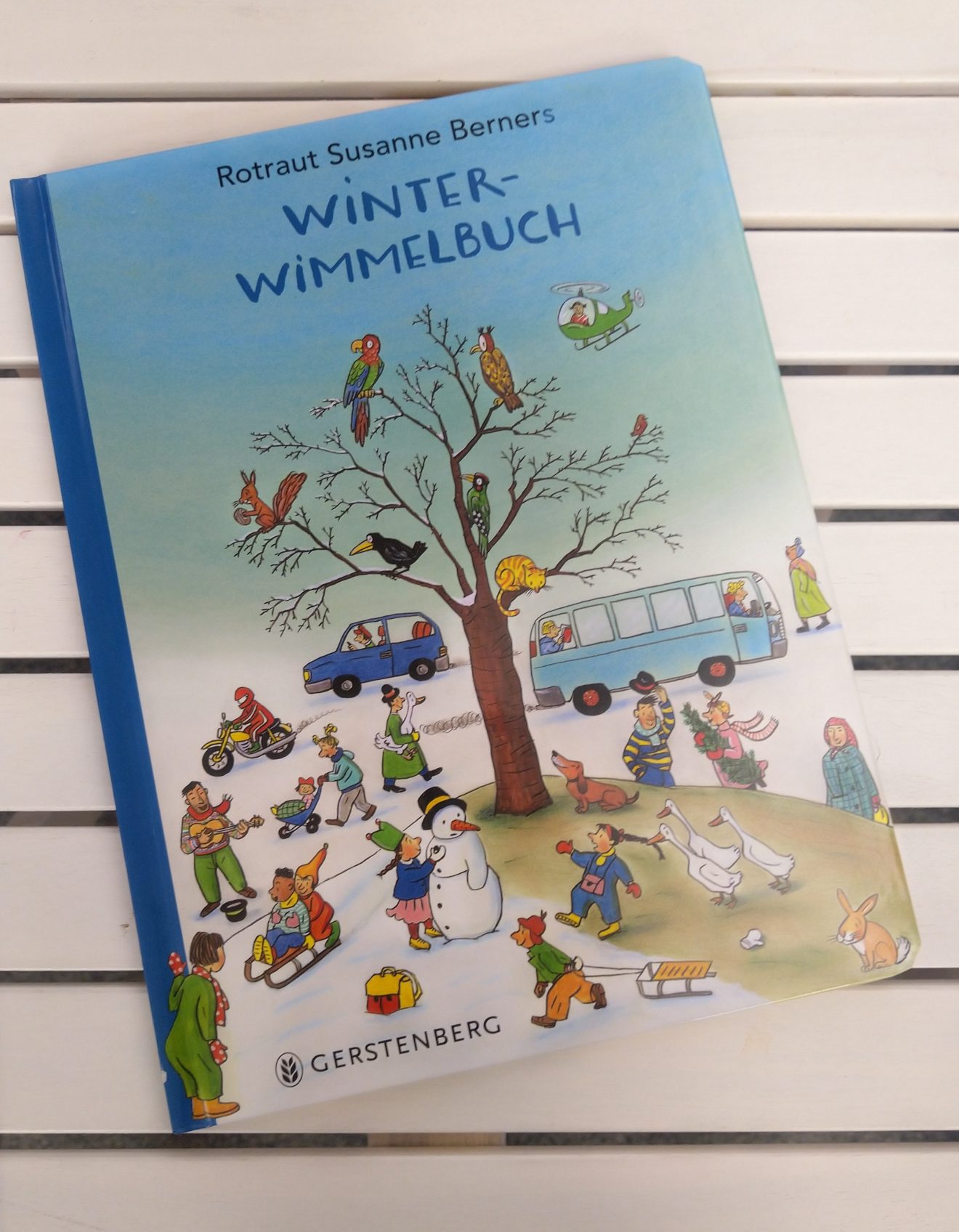 Winter-Wimmelbuch